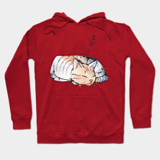 Dreaming cat Hoodie